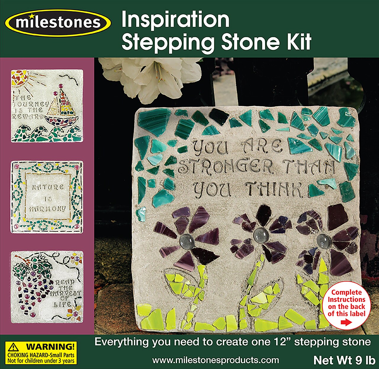 Milestones Mosaic Stepping Stone Kit-Inspiration